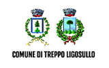 Comune di Treppo Ligosullo